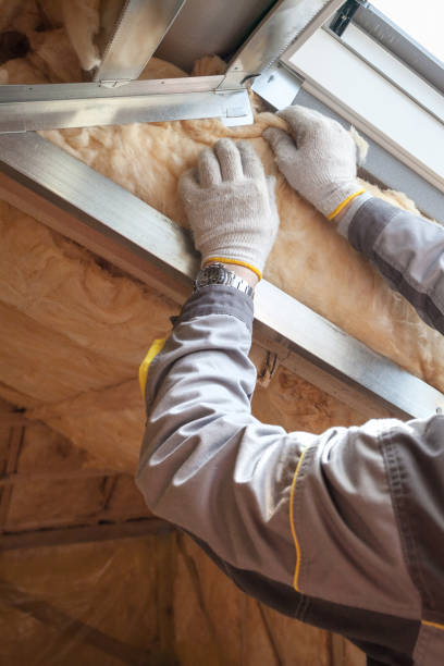 Best Insulation Inspection Services  in Oak Grove, SC